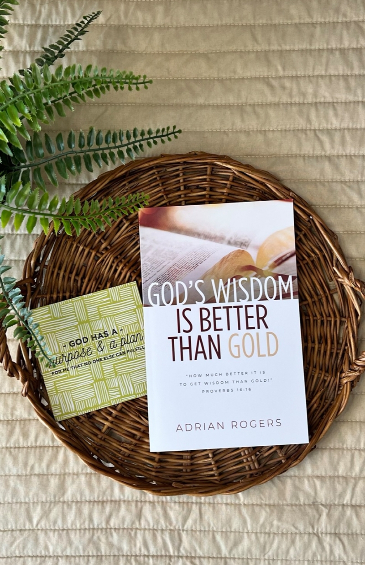 B101 gods wisdom is better than gold book FLAT LAY
